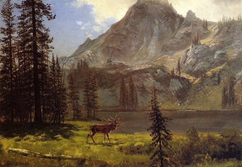 Albert Bierstadt Call of the Wild